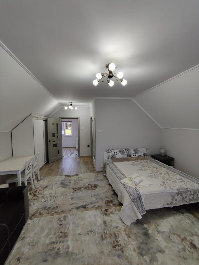 Hotel Vizuina Lupului Gura Humorului Zewnętrze zdjęcie