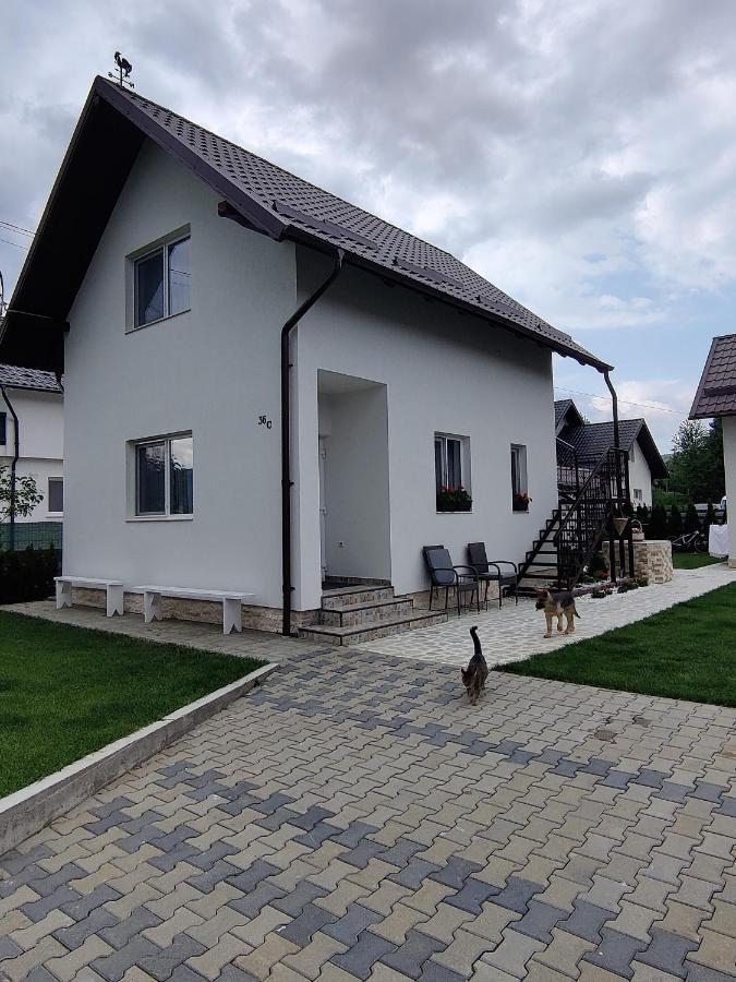 Hotel Vizuina Lupului Gura Humorului Zewnętrze zdjęcie